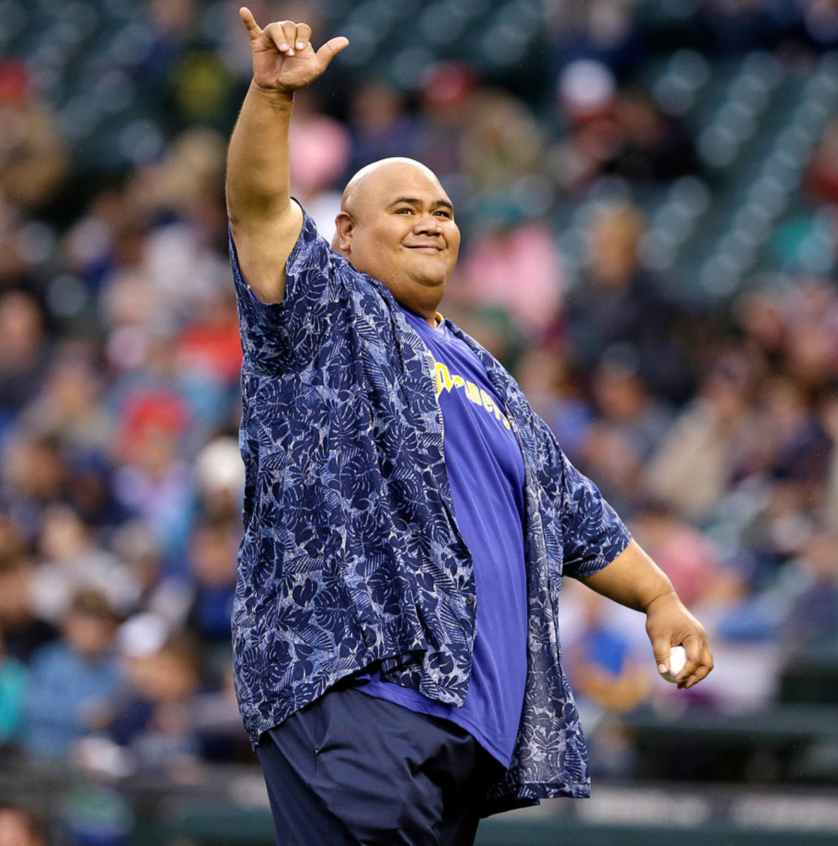 taylor-wily.jpg